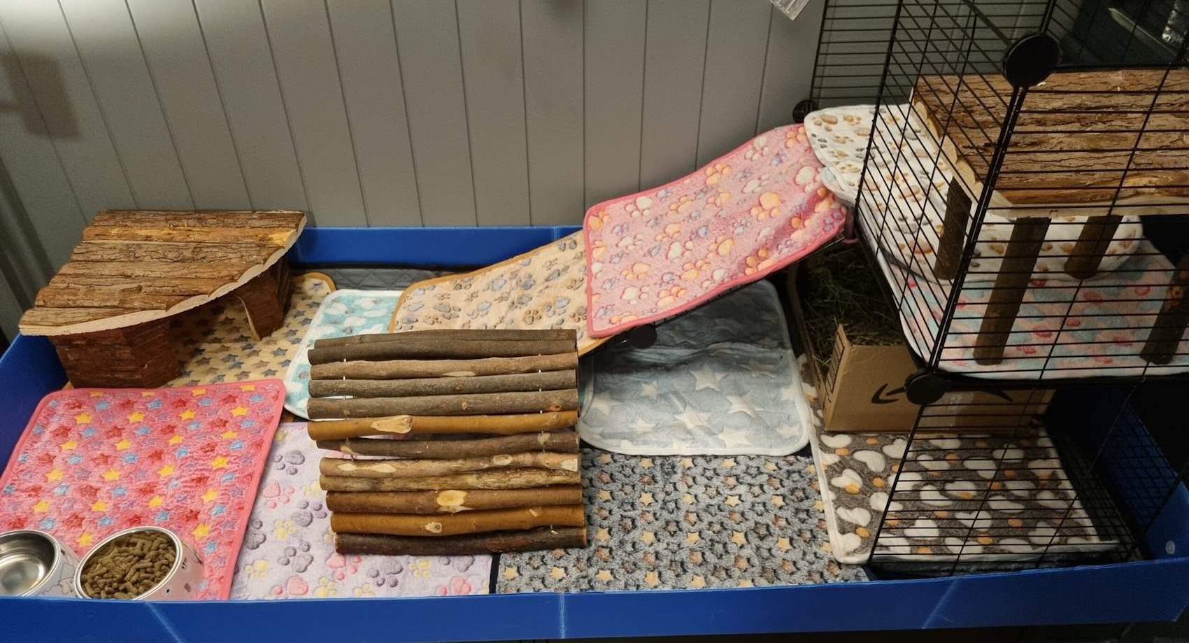 We love our new cage