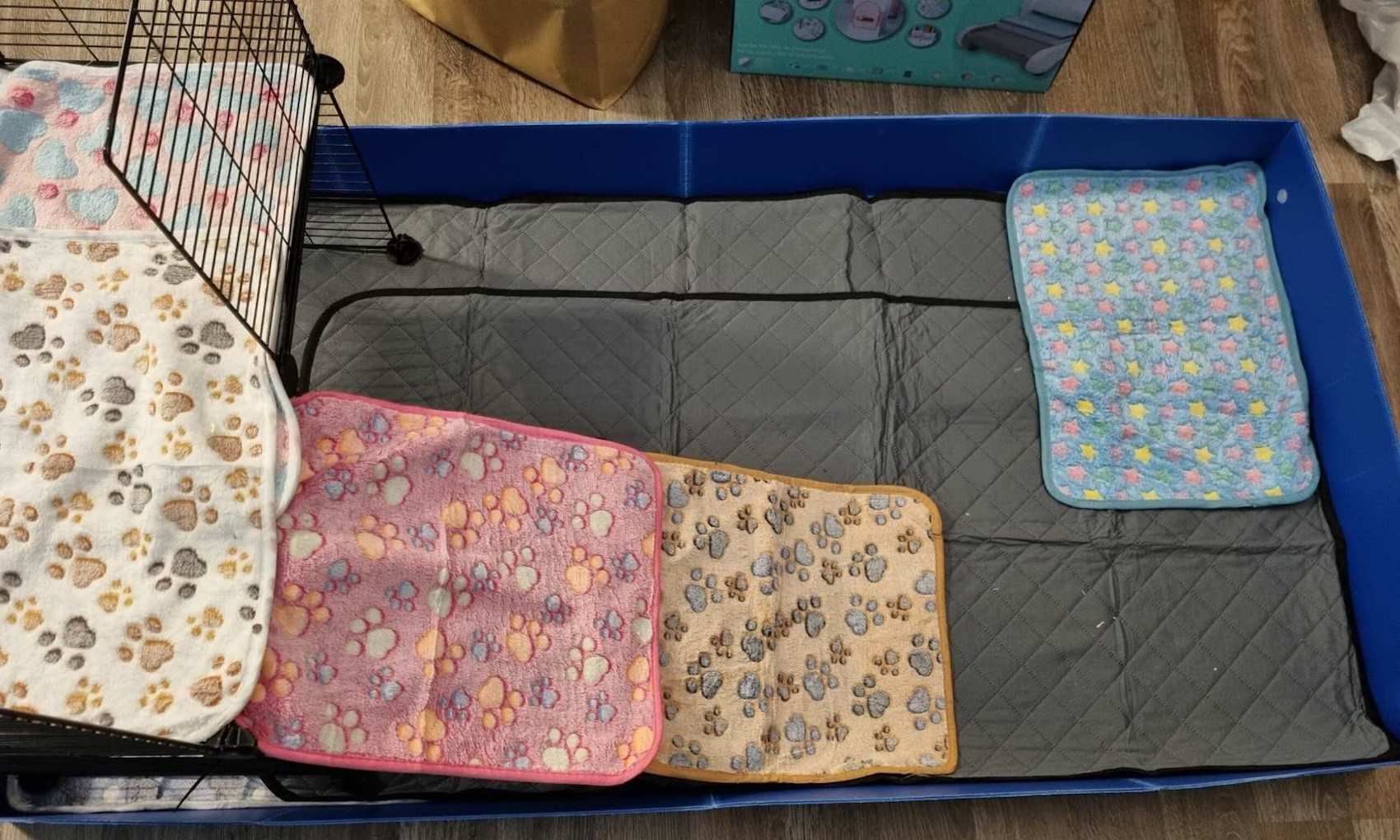 The new cage has arrived