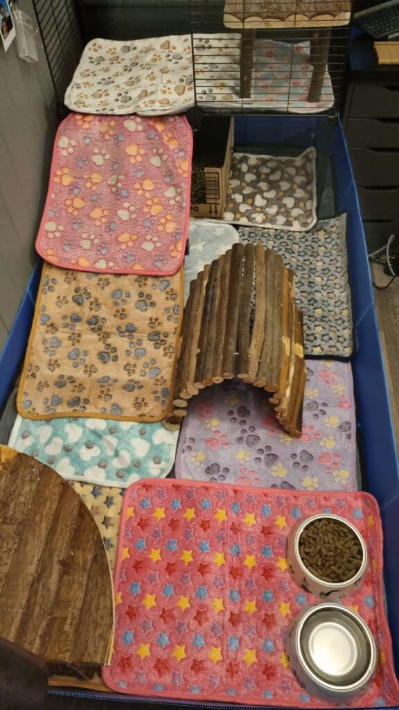 Front view of a new cage.