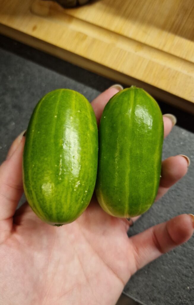 Holding two cucumbers.